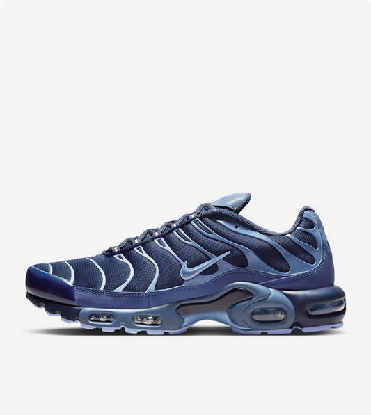 Nike Air Max Plus