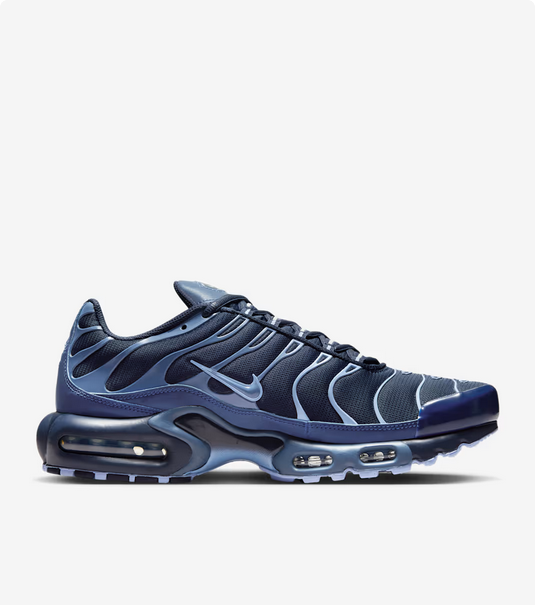 Nike Air Max Plus