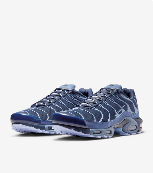 Nike Air Max Plus